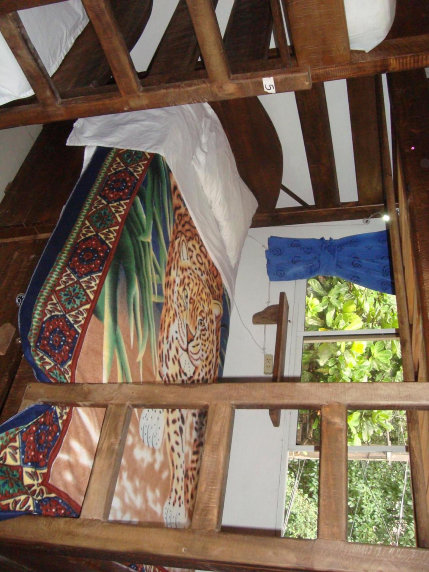 Arcadia Hostel Medellín Habitación foto